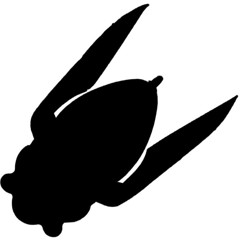 Topwater Baits