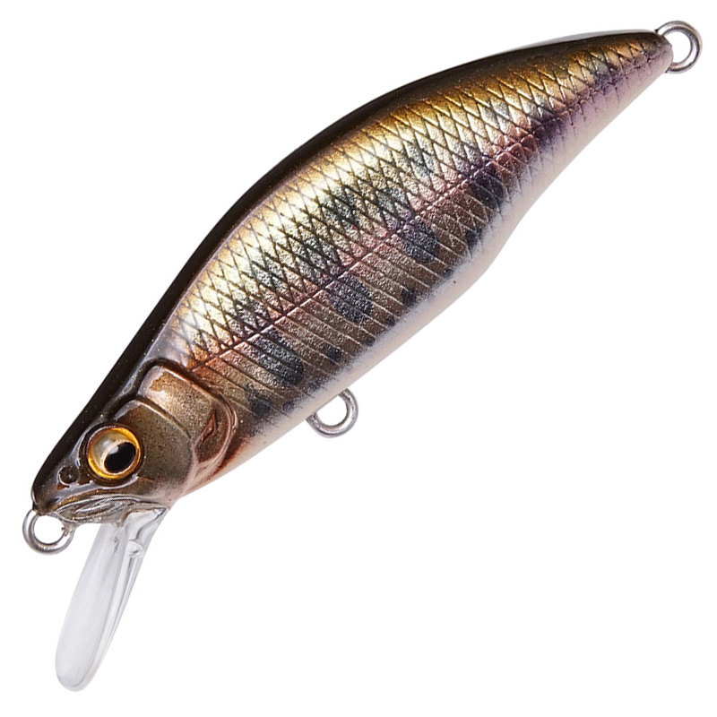 GH64 HUMPBACK (FS)