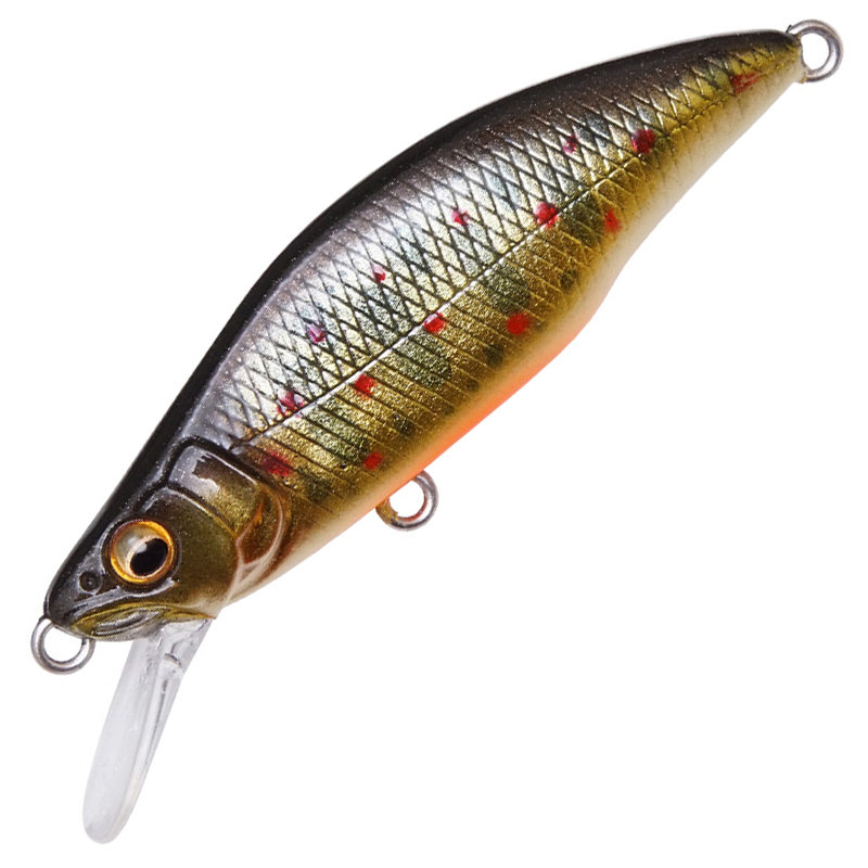 GH64 HUMPBACK (FS)