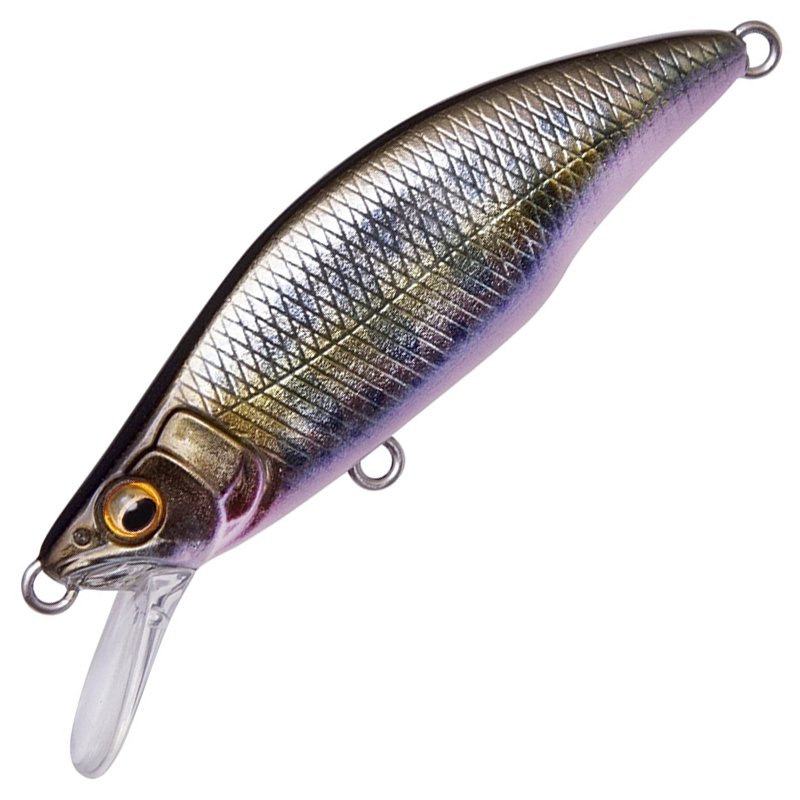GH64 HUMPBACK (FS)
