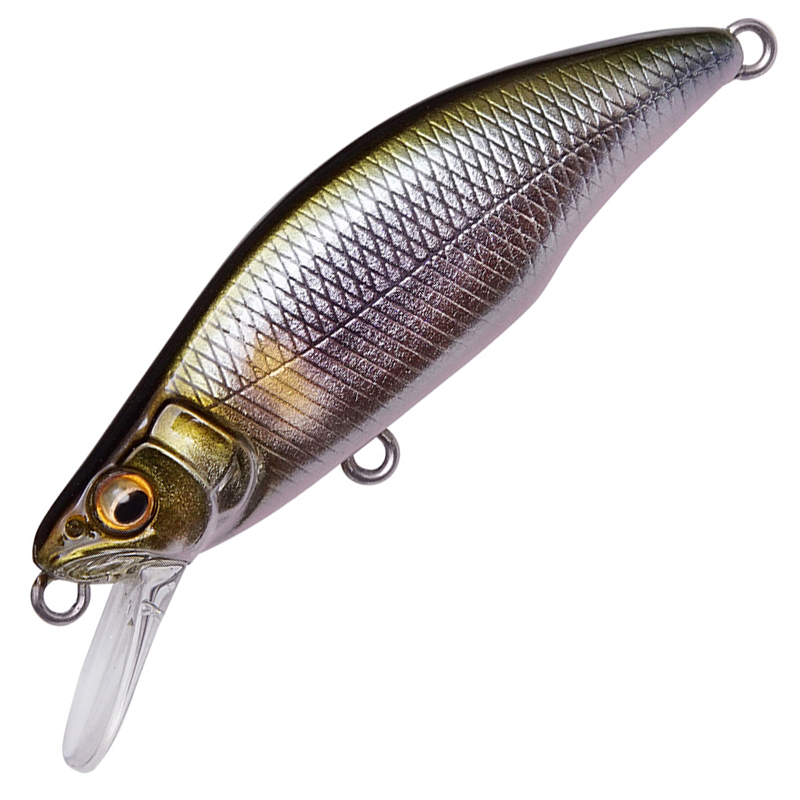 GH64 HUMPBACK (FS)