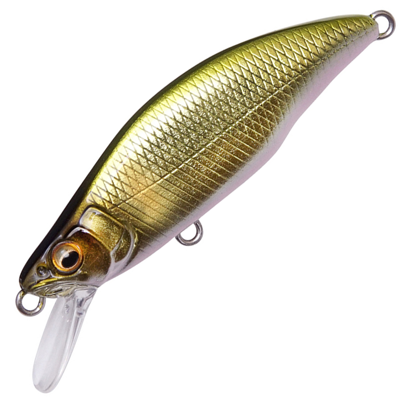 GH64 HUMPBACK (FS)