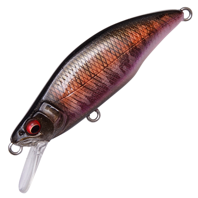 GH64 HUMPBACK (FS)