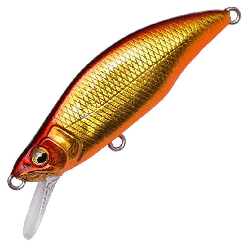 GH64 HUMPBACK (FS)