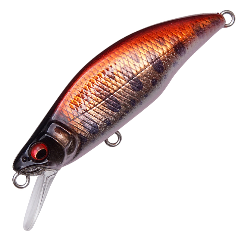 GH64 HUMPBACK (FS)