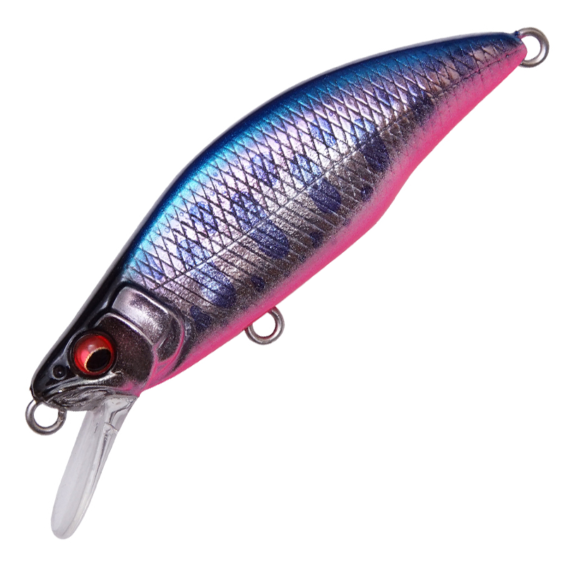 GH64 HUMPBACK (FS)