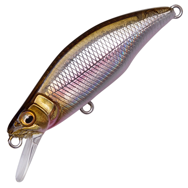 GH64 HUMPBACK (FS)