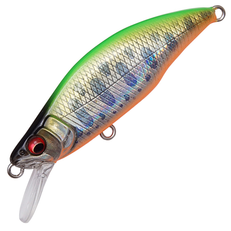 GH64 HUMPBACK (FS)