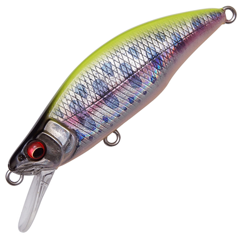 GH64 HUMPBACK (FS)