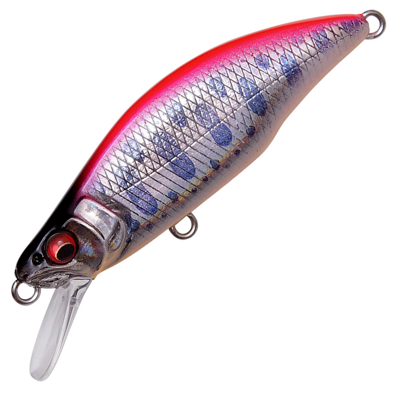 GH64 HUMPBACK (FS)