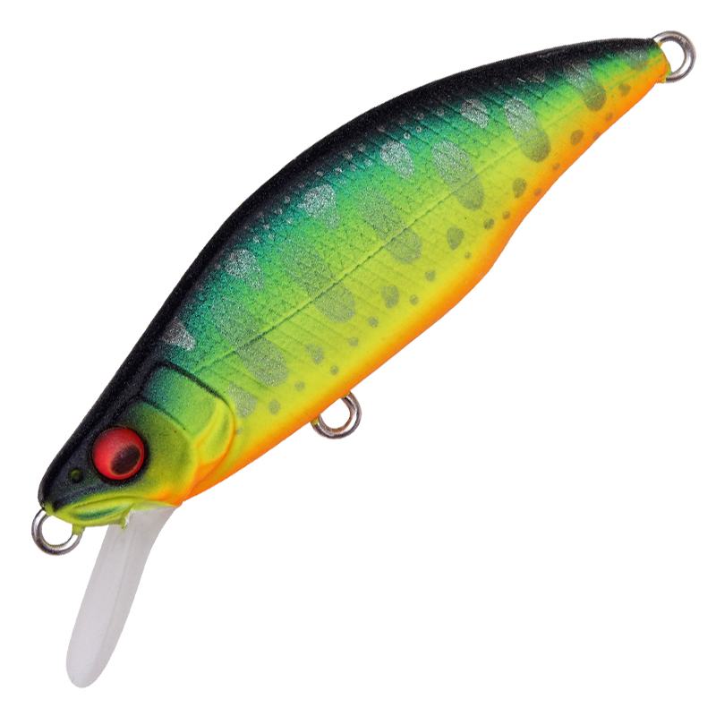 GH64 HUMPBACK (FS)