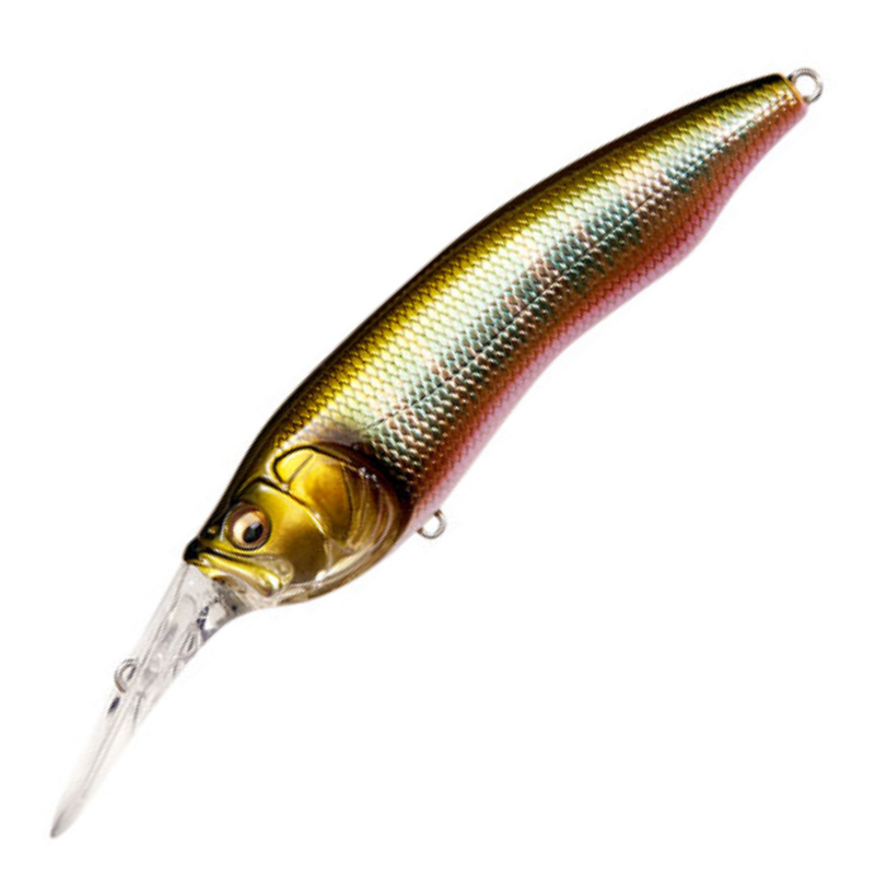 LIVE-X MODEL1
