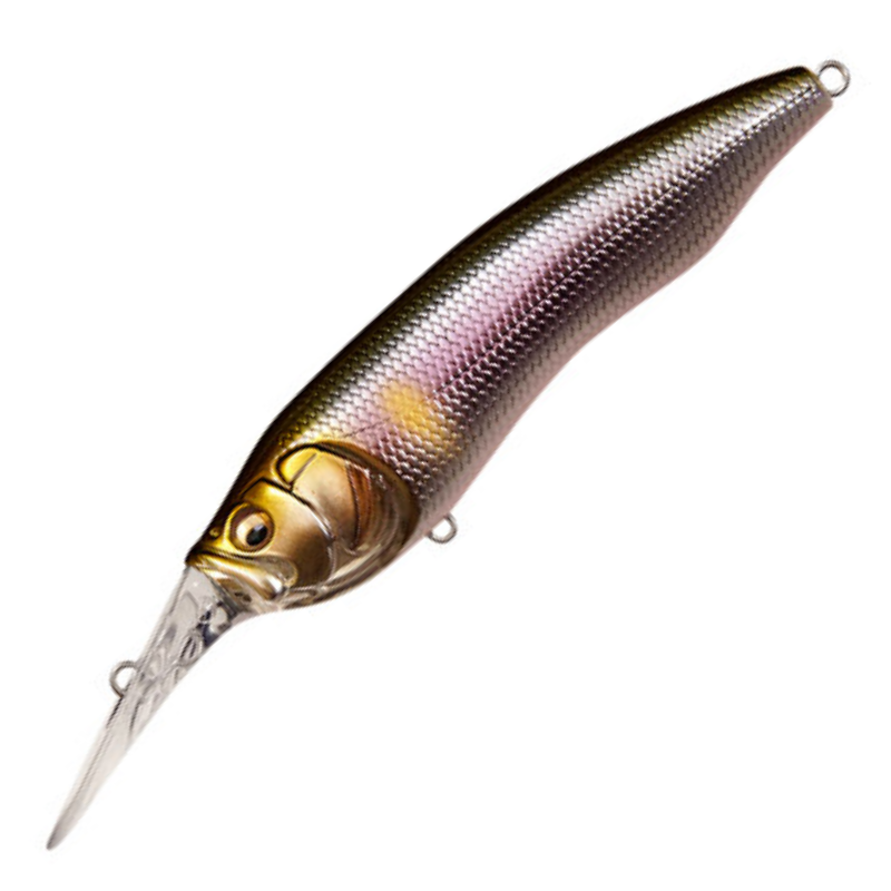 LIVE-X MODEL1