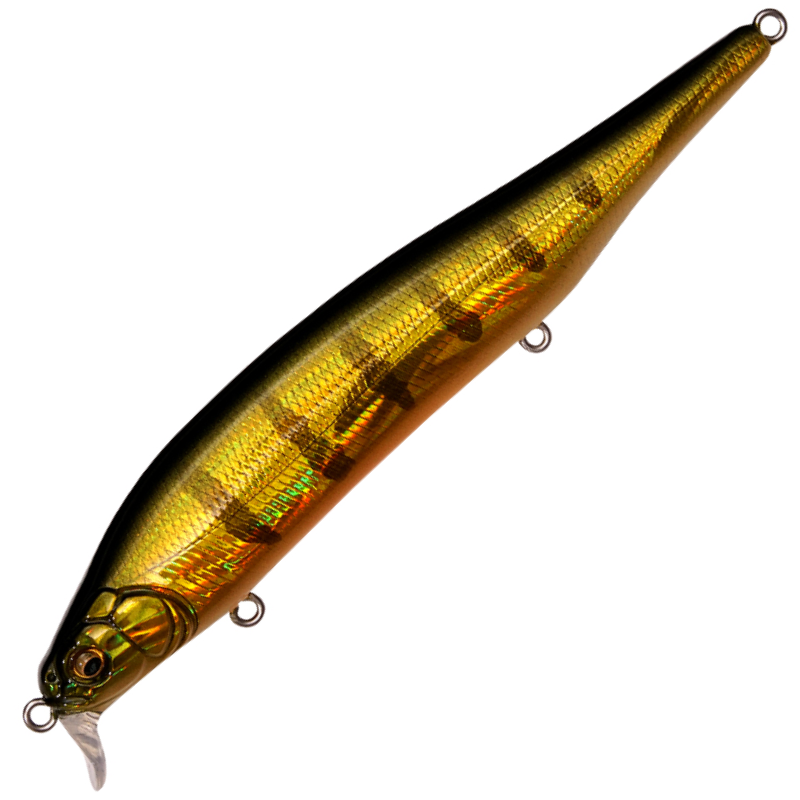 ITO SHINER SSR
