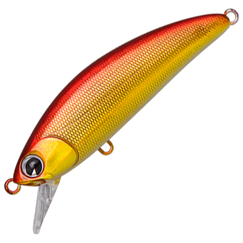 sukari 50SS