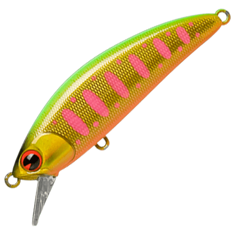 sukari 50SS