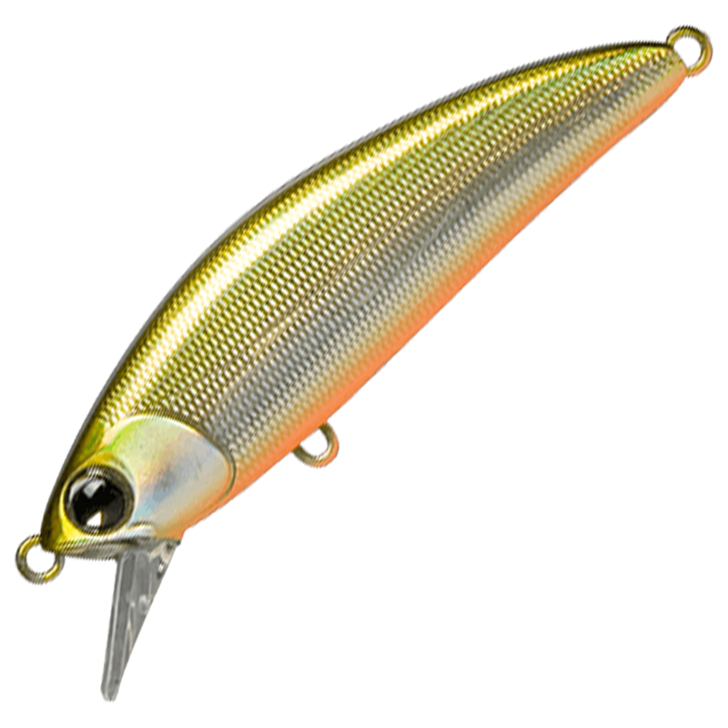 sukari 50SS