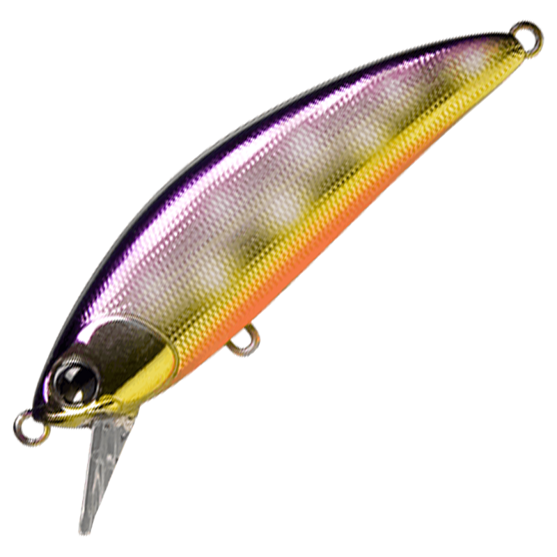 sukari 50SS