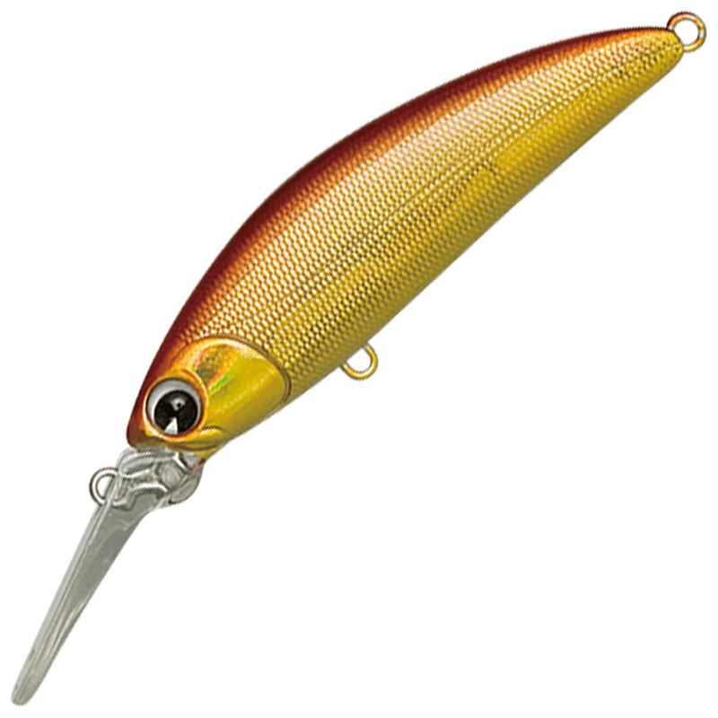 sukari 50SS DEEP