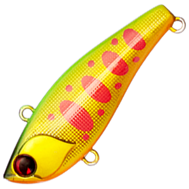 RAIKIRI 43