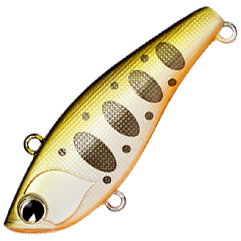 RAIKIRI 43