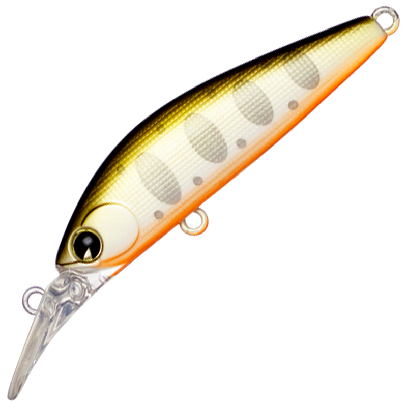 sukari GHOST 43